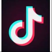 Tiktok Apk V31.3.5 Muat Turun 2023